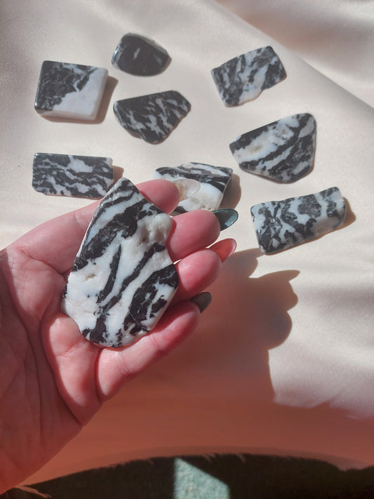 Zebra Jasper
