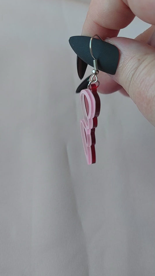 Heart Glasses Earrings