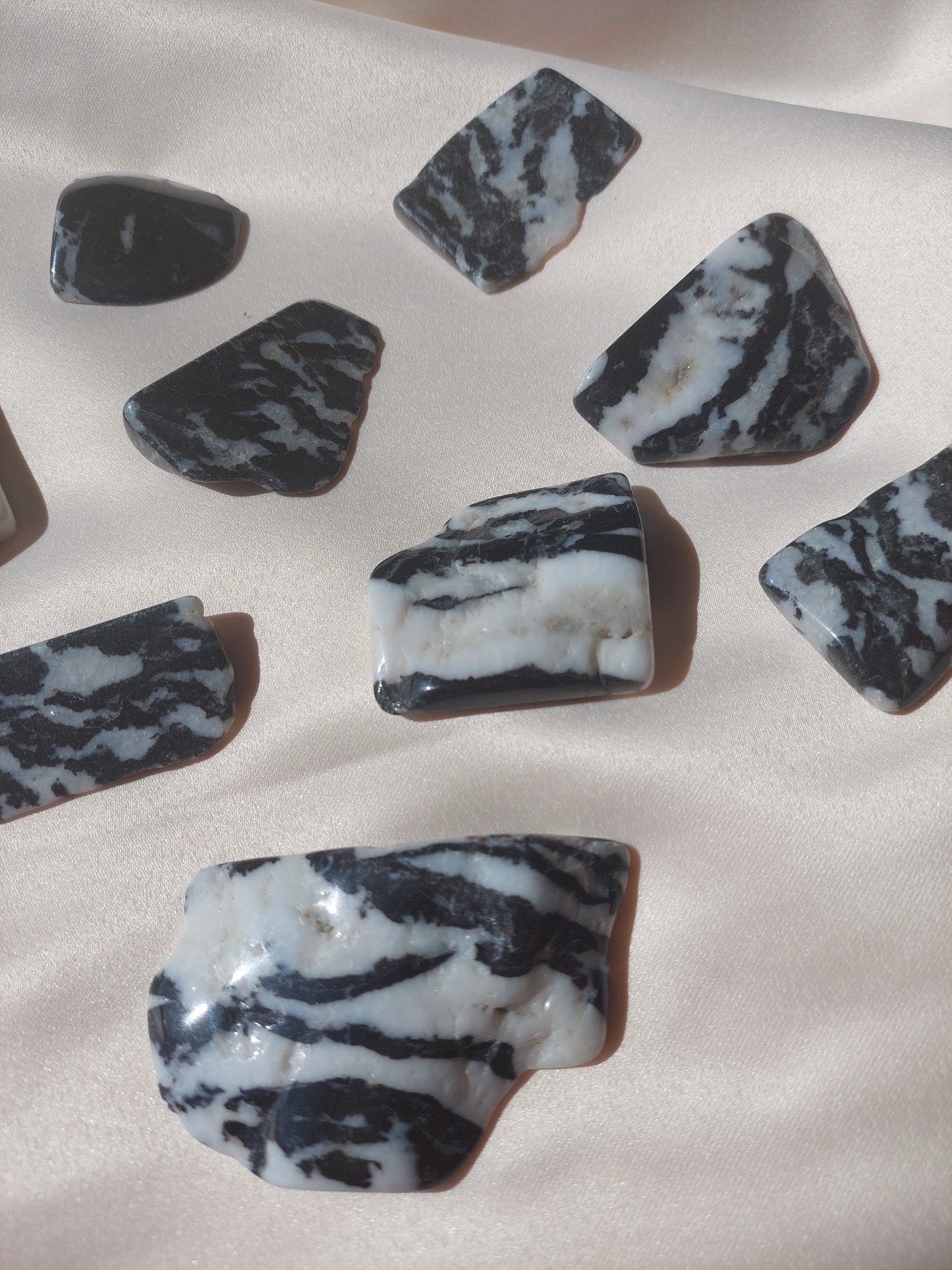Zebra Jasper