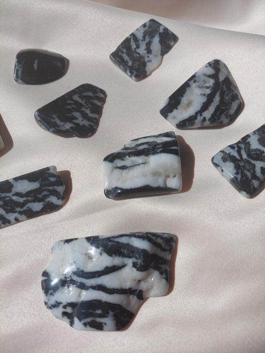 Zebra Jasper